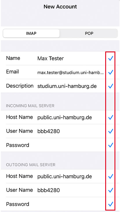 Screenshot displaying the overview of the entered data and highlighting the check marks at the end of each line confirming the data’s correctness.