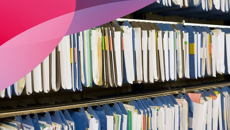 A row of file folders